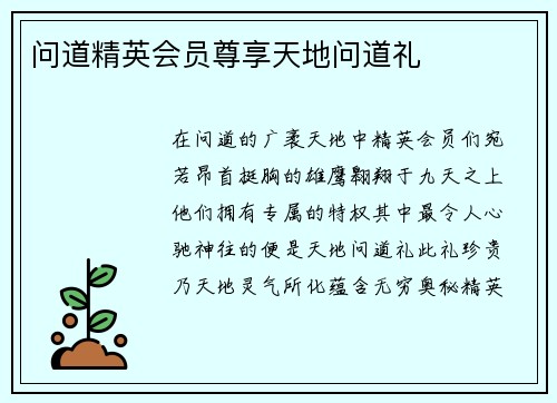 问道精英会员尊享天地问道礼