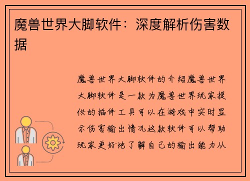 魔兽世界大脚软件：深度解析伤害数据